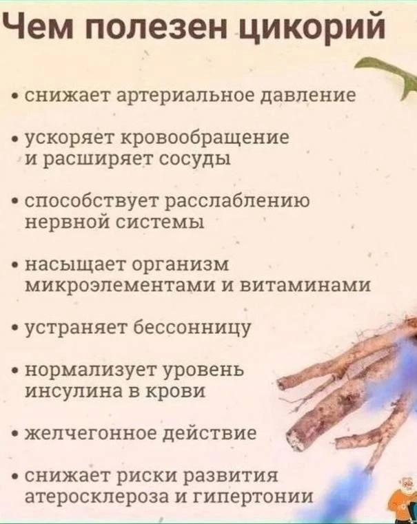 .

 🥦 ПП-рецепты | Фитнес
🩸  Моё здоровье | ЗОЖ
🐱 Пушистики проказники