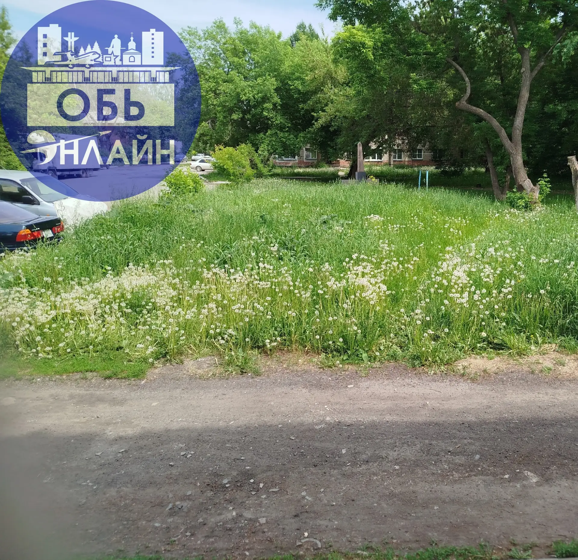 Здравствуйте, 
ул. Геодезическая,11 каждый год одно и тоже 🤦...
Живём как посреди поля, трава с чел