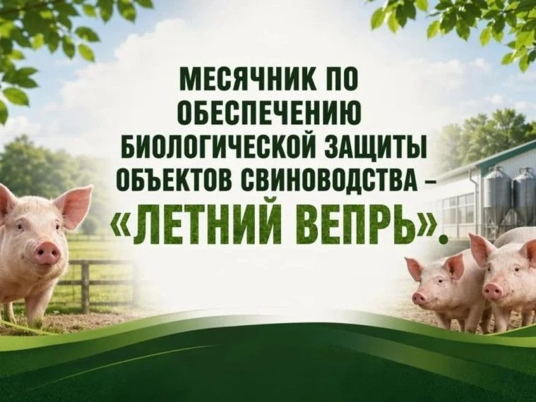 🔺РЕЙДОВЫЕ МЕРОПРИЯТИЯ ПО ОБЕСПЕЧЕНИЮ БИОЛОГИЧЕСКОЙ ЗАЩИТЫ ОБЪЕКТОВ ПТИЦЕВОДСТВА "СТОП-...