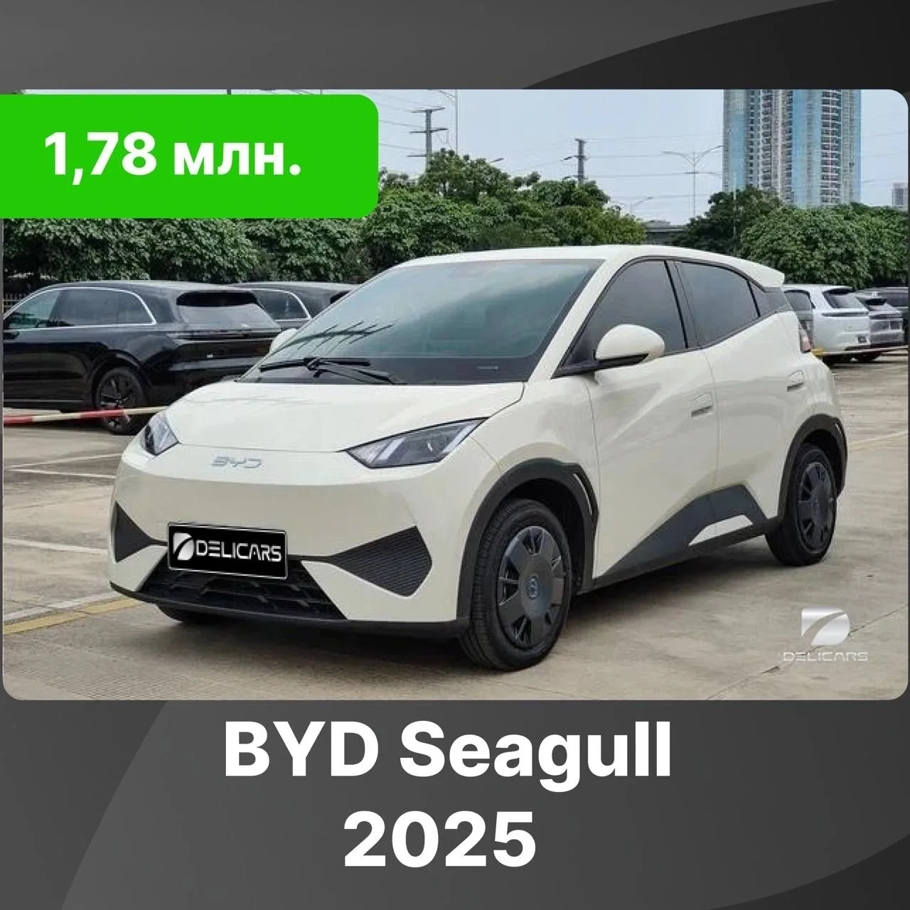 ⚡️ BYD Seagull⚡️