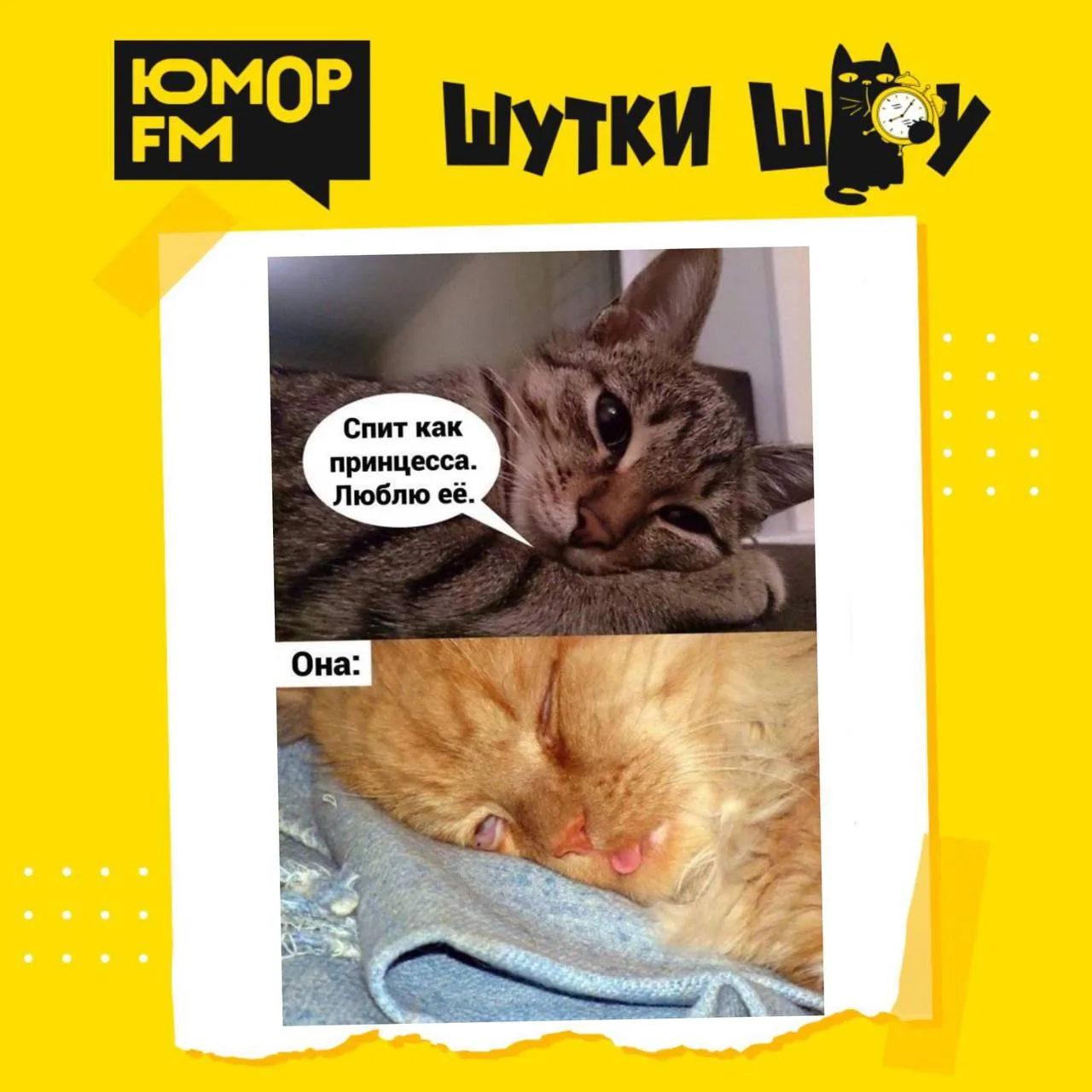 Что вы больше всего любите по утрам? Делитесь своими любимыми утренними ритуалами! 😉

Оставляйте ва