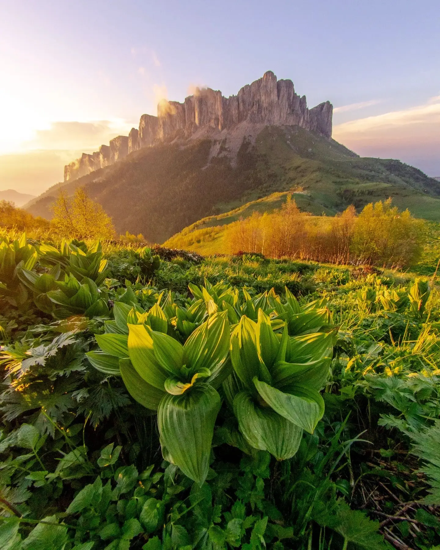 Большой Тхач на закате  📸: ivangubskiy  🗺️ 44.042710,40.429328  👉 Экскурсия  #РеспубликаАдыгея  Уютн