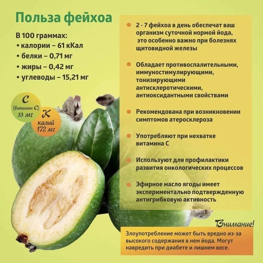 6 причин ввести в свой рацион фейхоа.