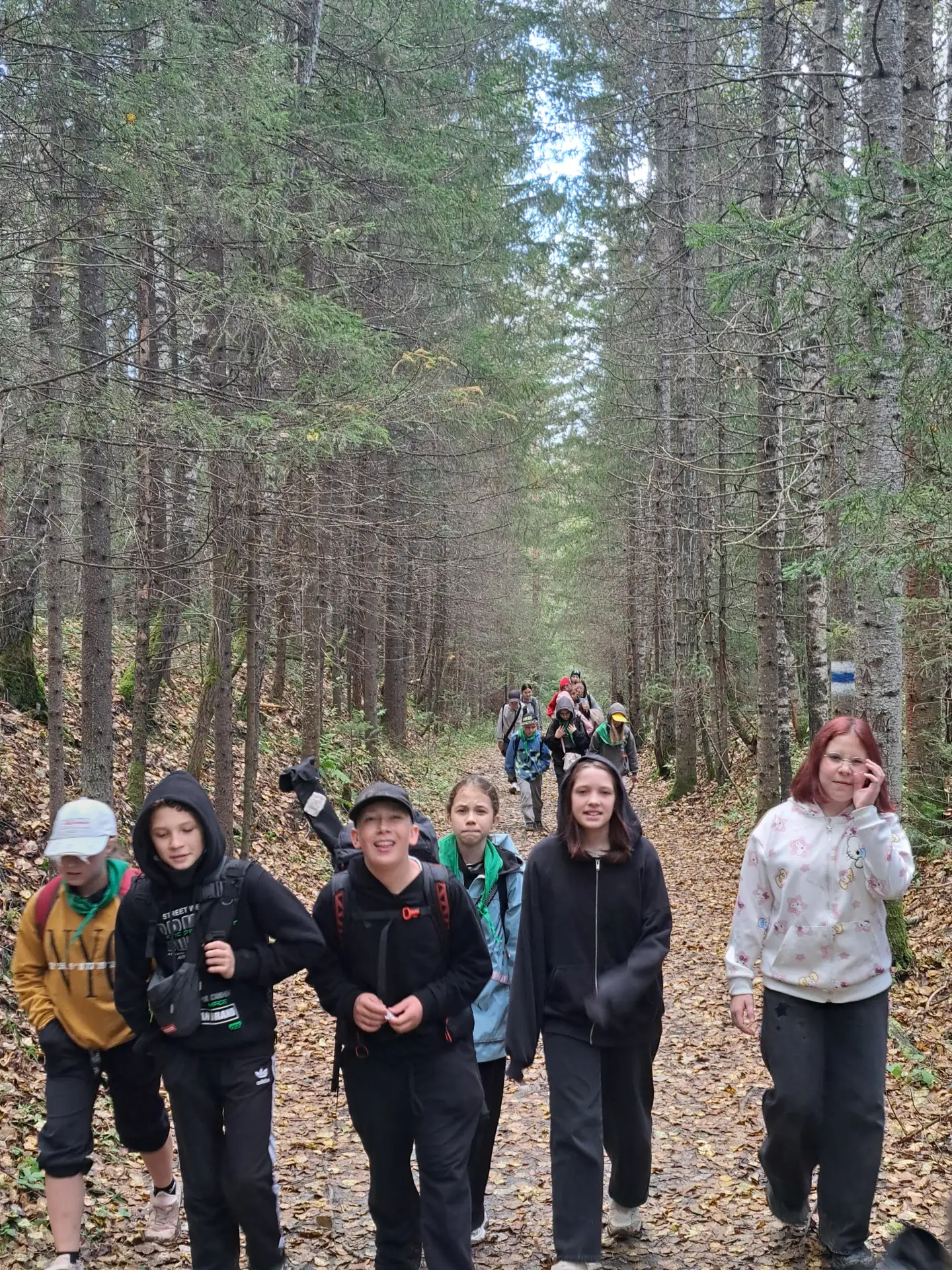Каменная река. Место силы, известное на весь мир 🪨🌲