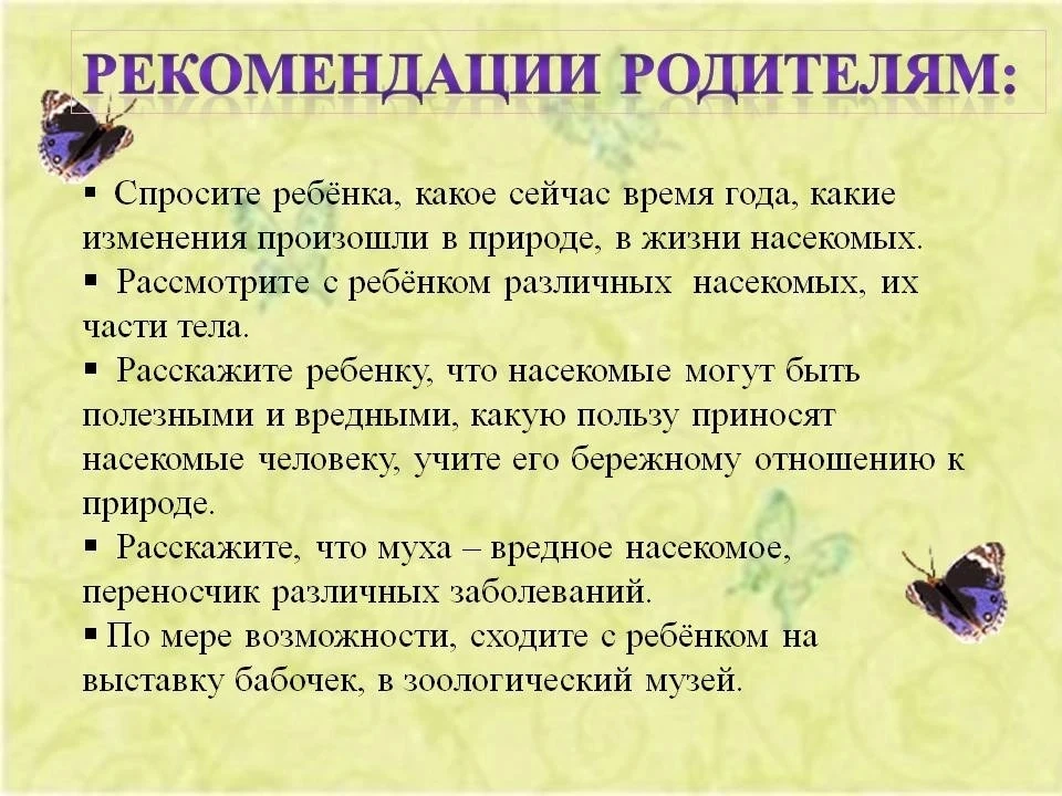 Лето — пора активизации насекомых. Комары, клещи, пчёлы, осы, шмели и шершни могут доставить немало 