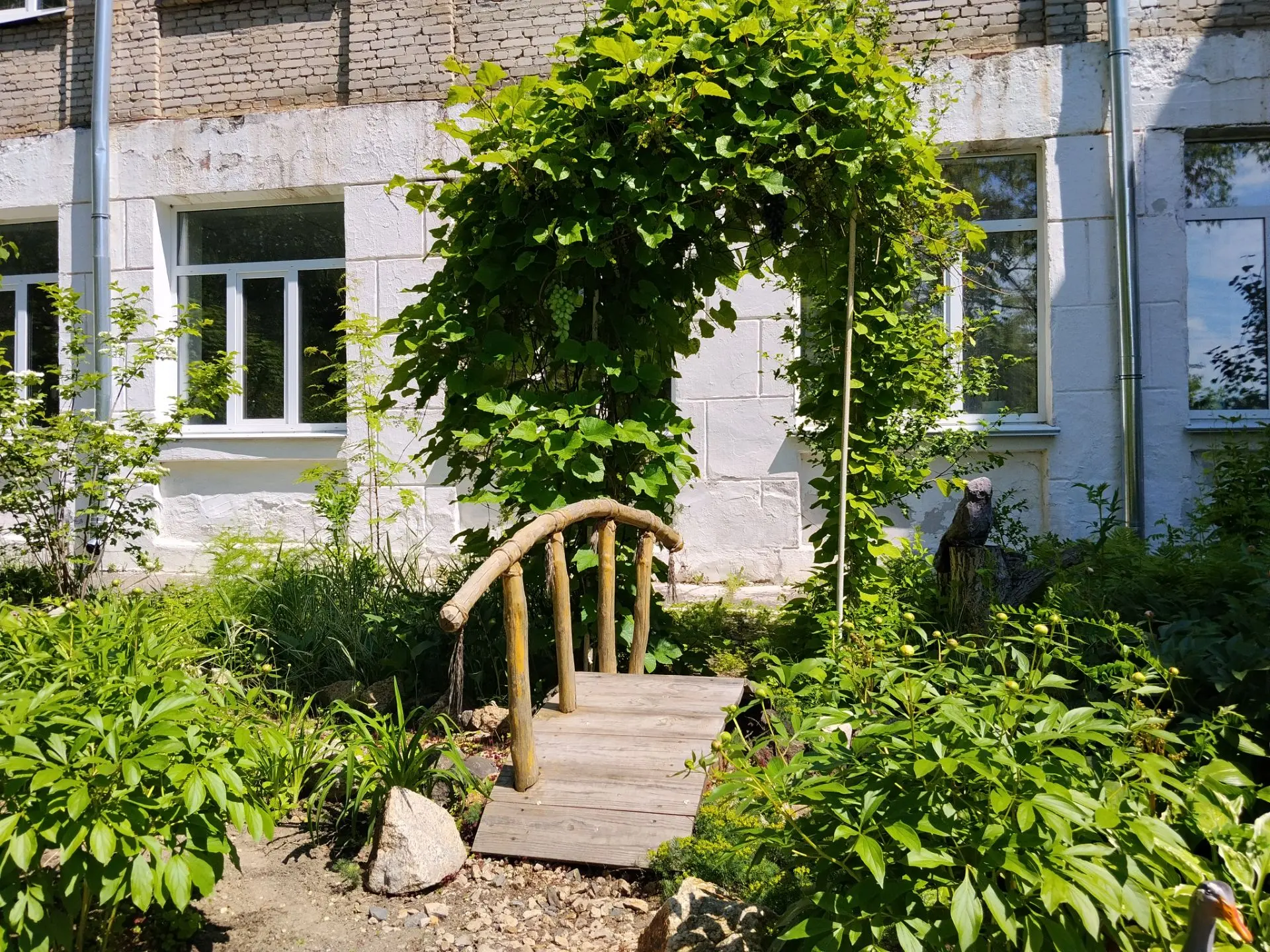 На школьных просторах царит настоящее волшебство природы! 🌿

Наш двор превратился в уютный уголок о