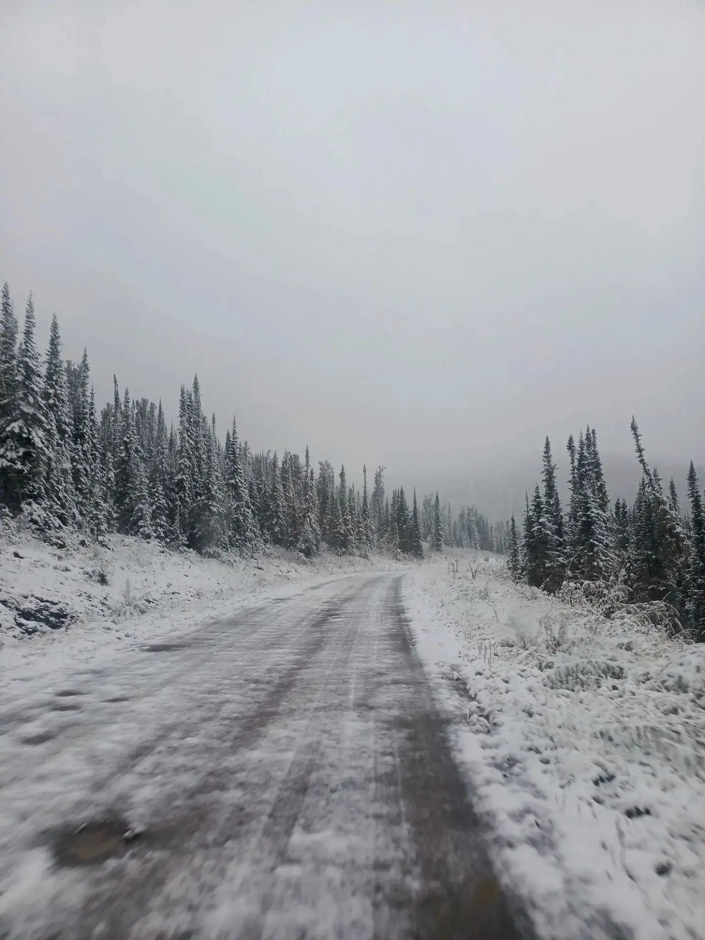С первым снегом...  ❄️