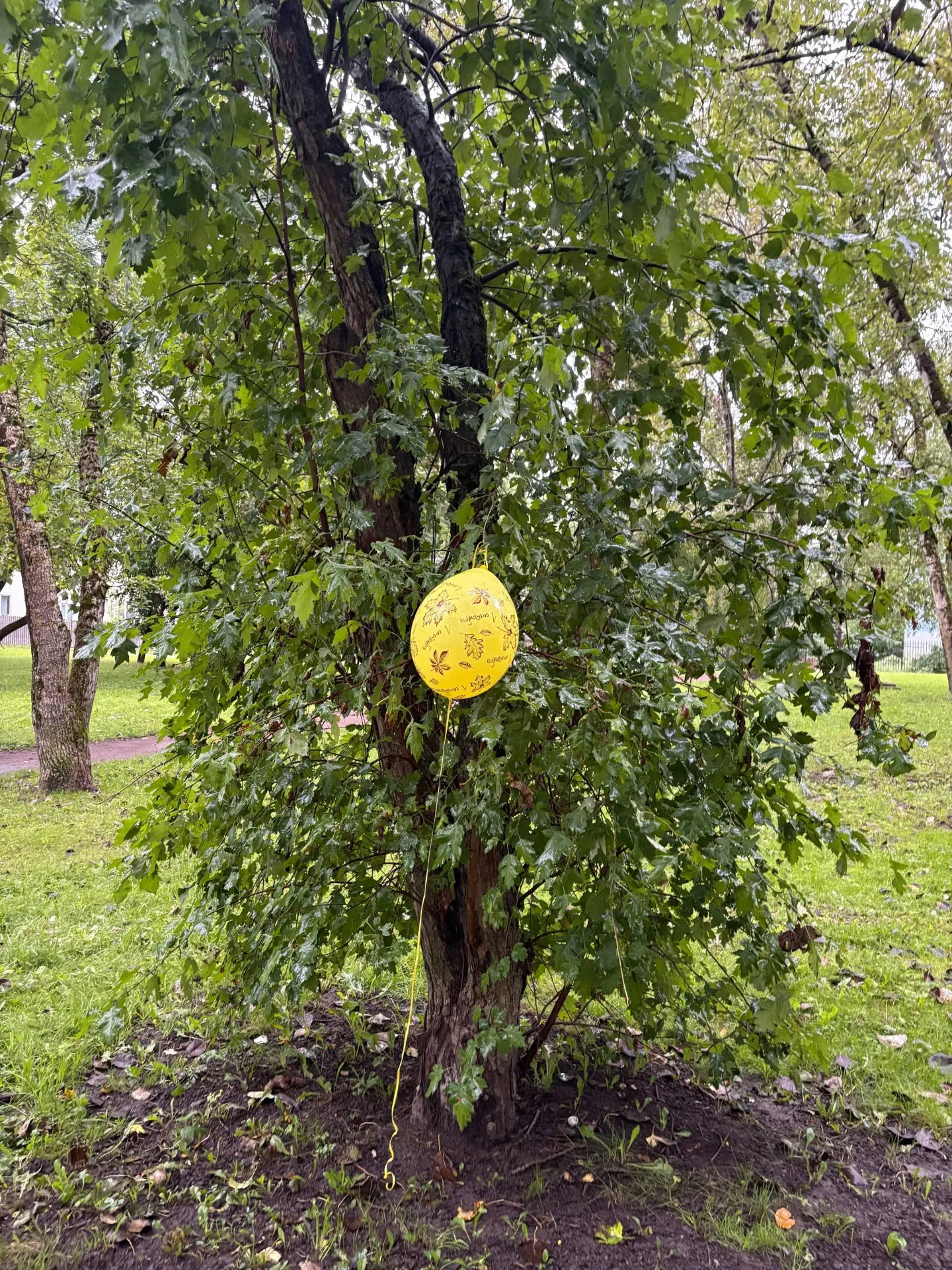 Я сейчас напишу не по теме, но мне стало очень смешно.
