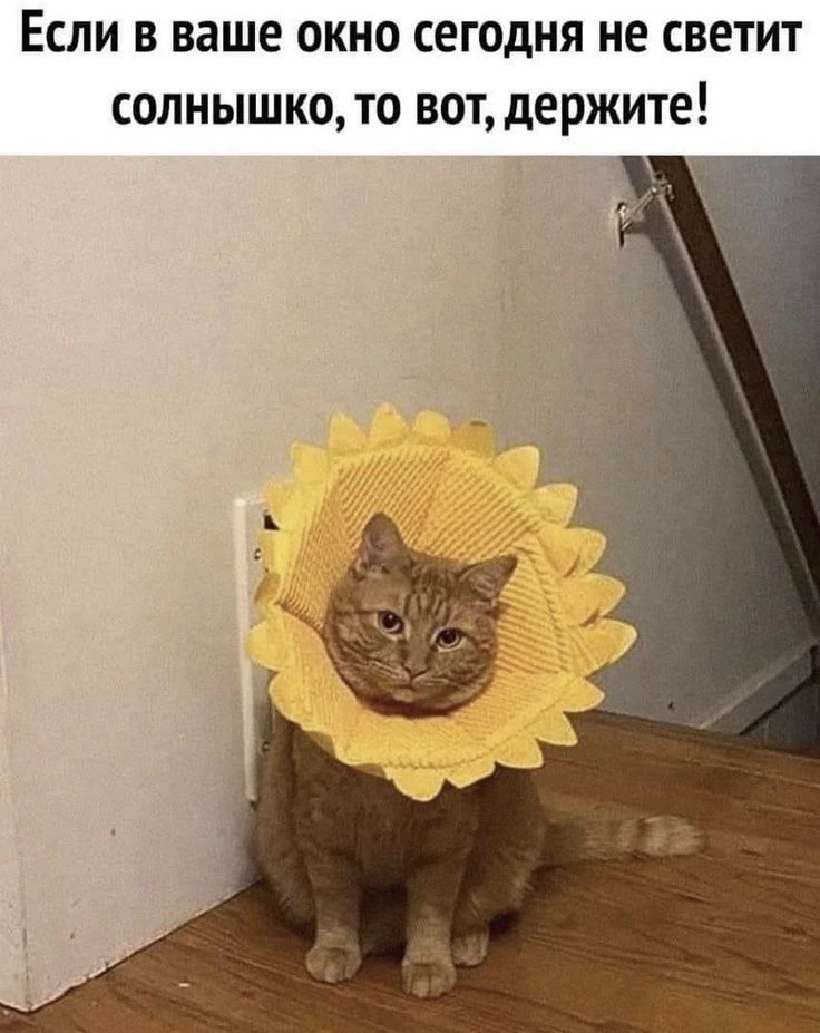 Изображение 1 к публикации «КП Самара»