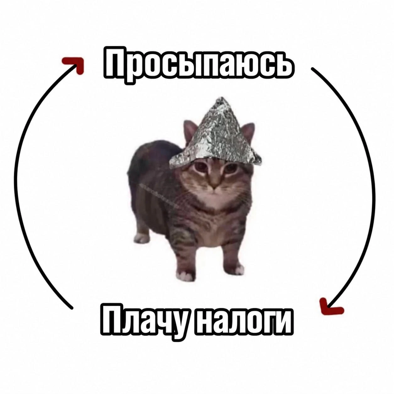 Жить в России стало ДОРОЖЕ — первое октября принесло новые тарифы, изменения в условиях...