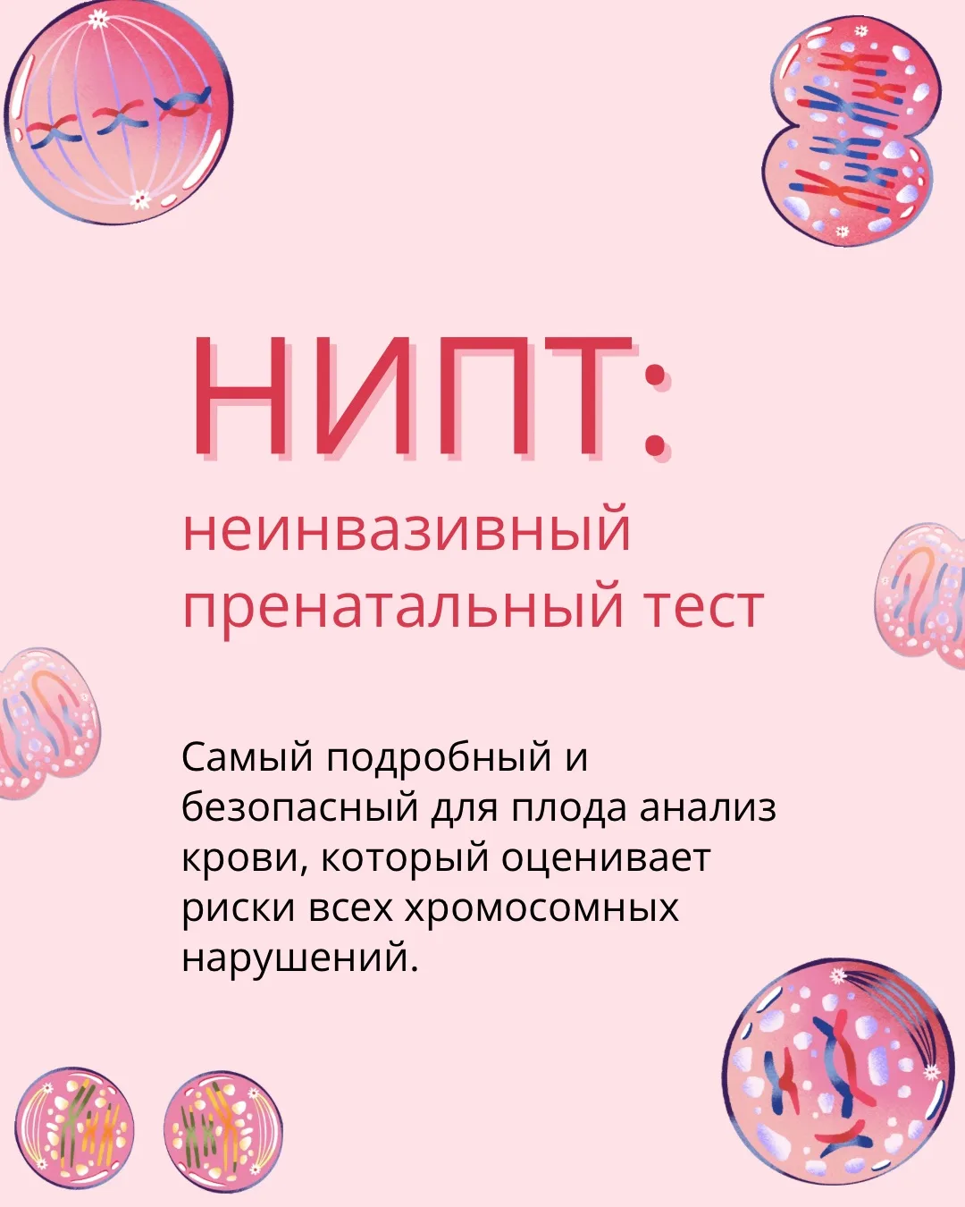 НИПТ: дополнительная оценка рисков хромосомных нарушений 🧬
