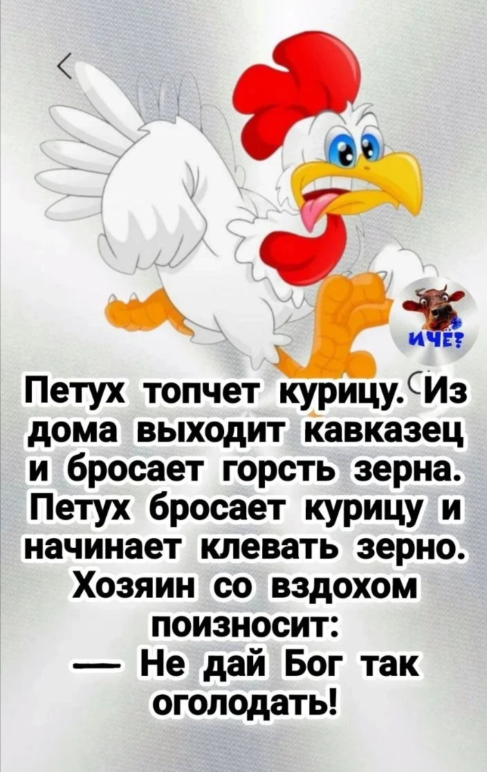 Не дай Бог!🤣