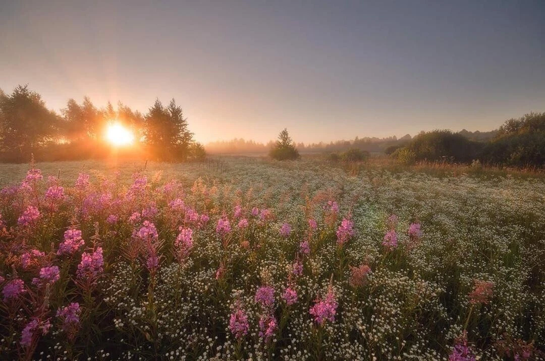 ☀ДОБРОЕ УТРО☀

✨ Тот , у кого в душе светит солнце, будет видеть солнце даже в самый хмурый день 😉
