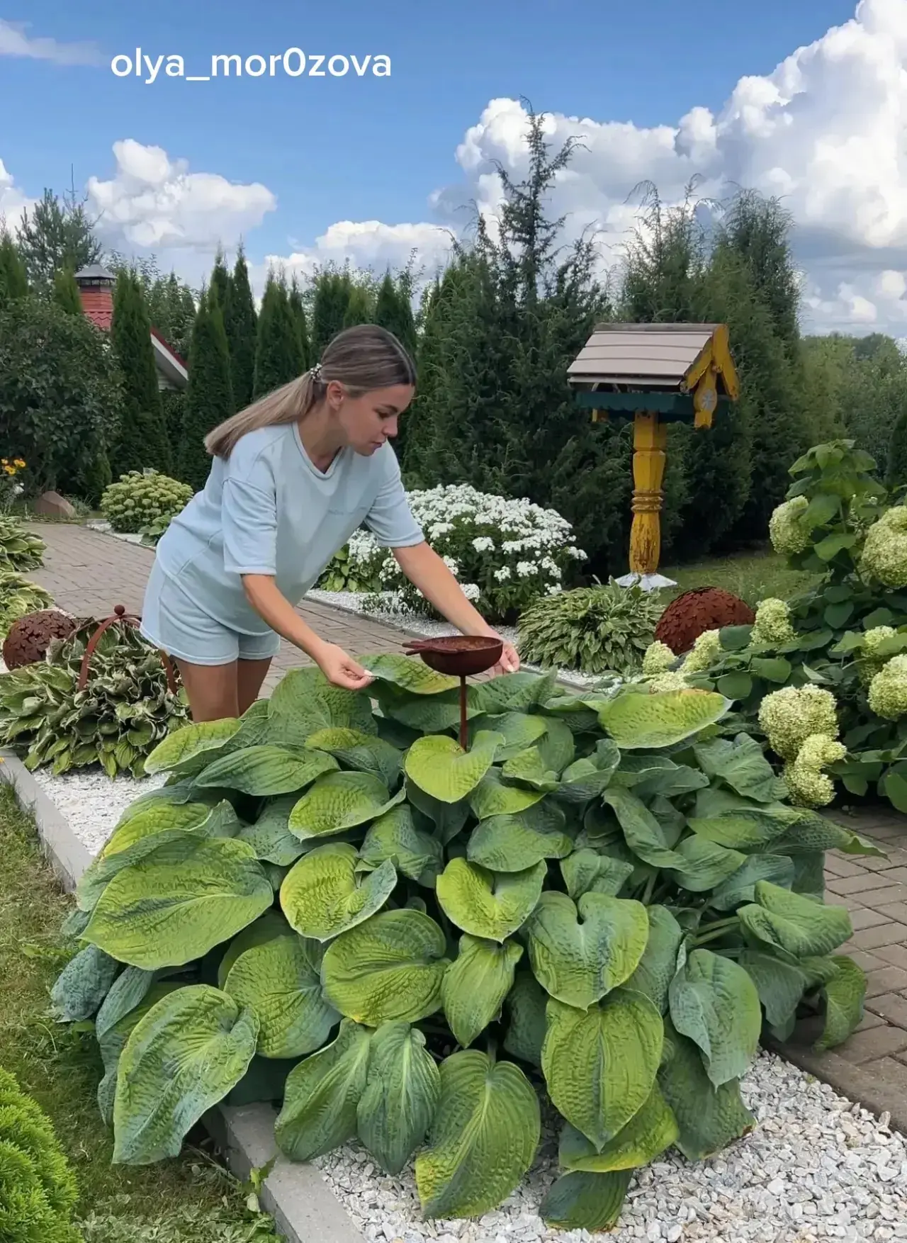 На улице настоящее лето ☀️ Сразу появляются силы, хочется наводить порядок, заниматься садовыми дела