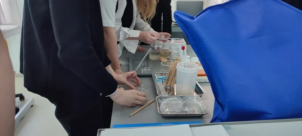 Практическое занятие 7.1.1 класса в «Сириус.Приморье» 🏫  На уроке биологии семиклассники перешли от 