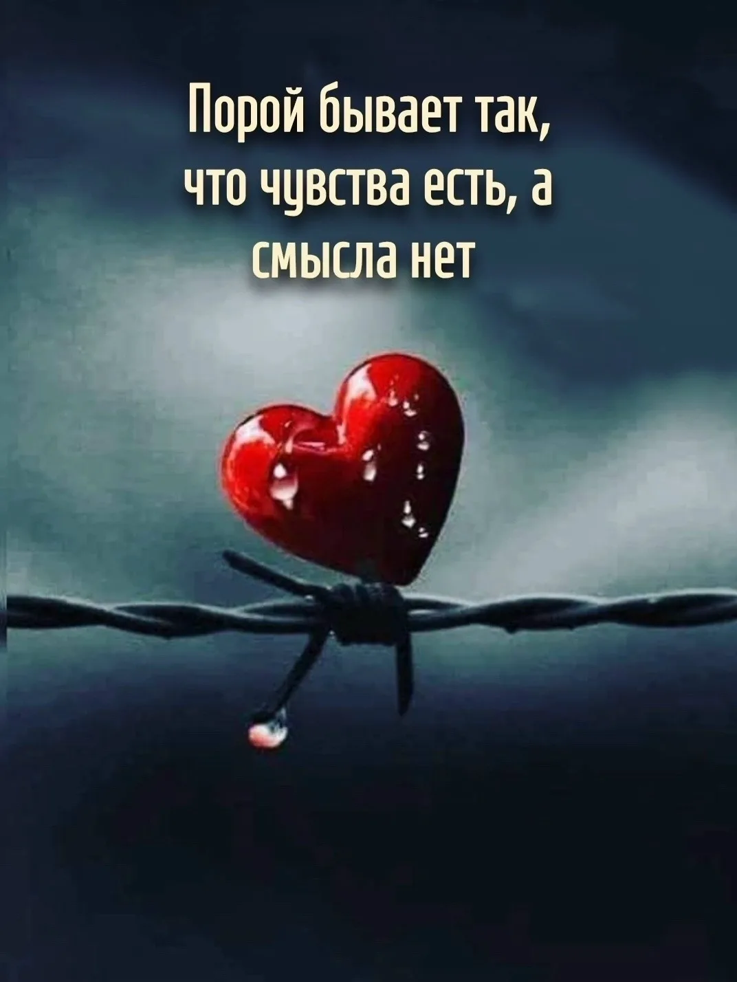 Цитаты жизни