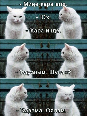 Үҙегеҙҙе танынығыҙмы😁?

Беҙҙе МАХ, ВКһәм ОК- ла уҡып була