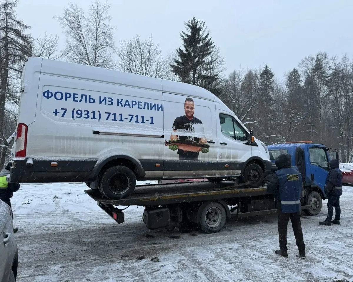 ⚔ Незаконная торговля пресечена в Приморском и Выборгском районах  Сотрудниками Комитета проведены п