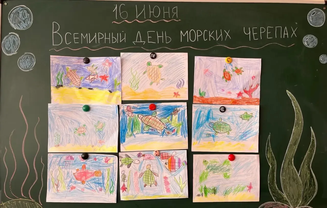 16 июня, Всемирный день морской черепахи, и наши ребята из детского сада решили подарить этим древни