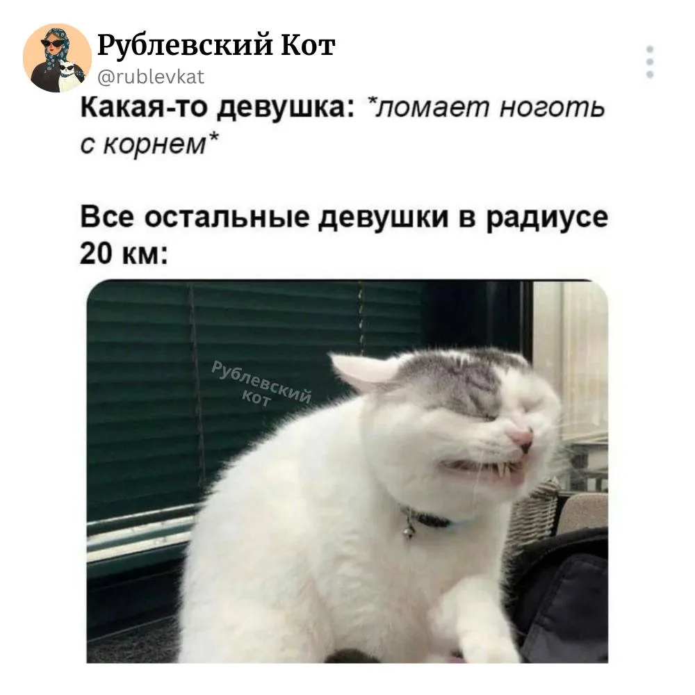 🐈Рублевский кот