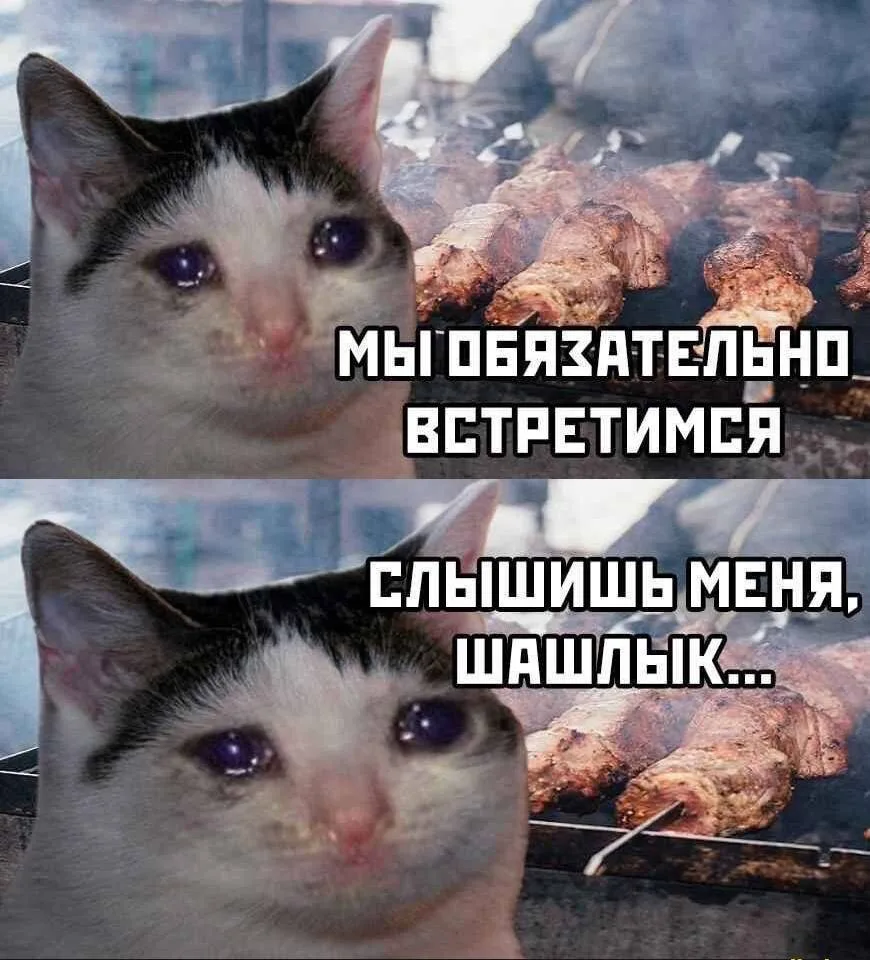 🍖 Шашлык можно есть не больше трёх раз за всё лето, — эксперт
