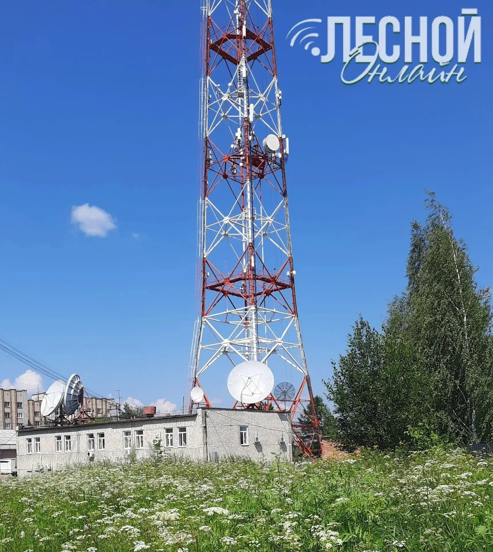 🆕 Актуальные новости прямо из Лесного!