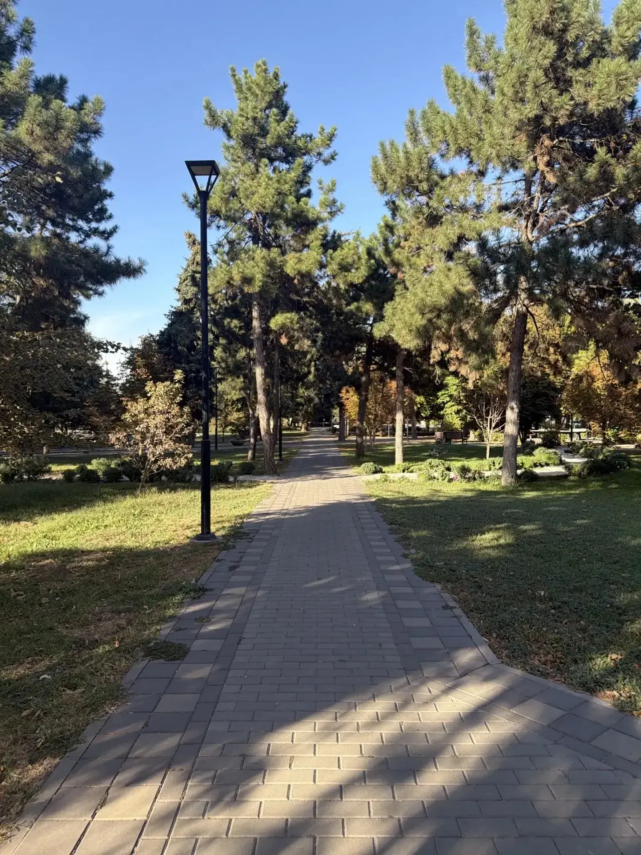 🍂ДОБРОЕ УТРО