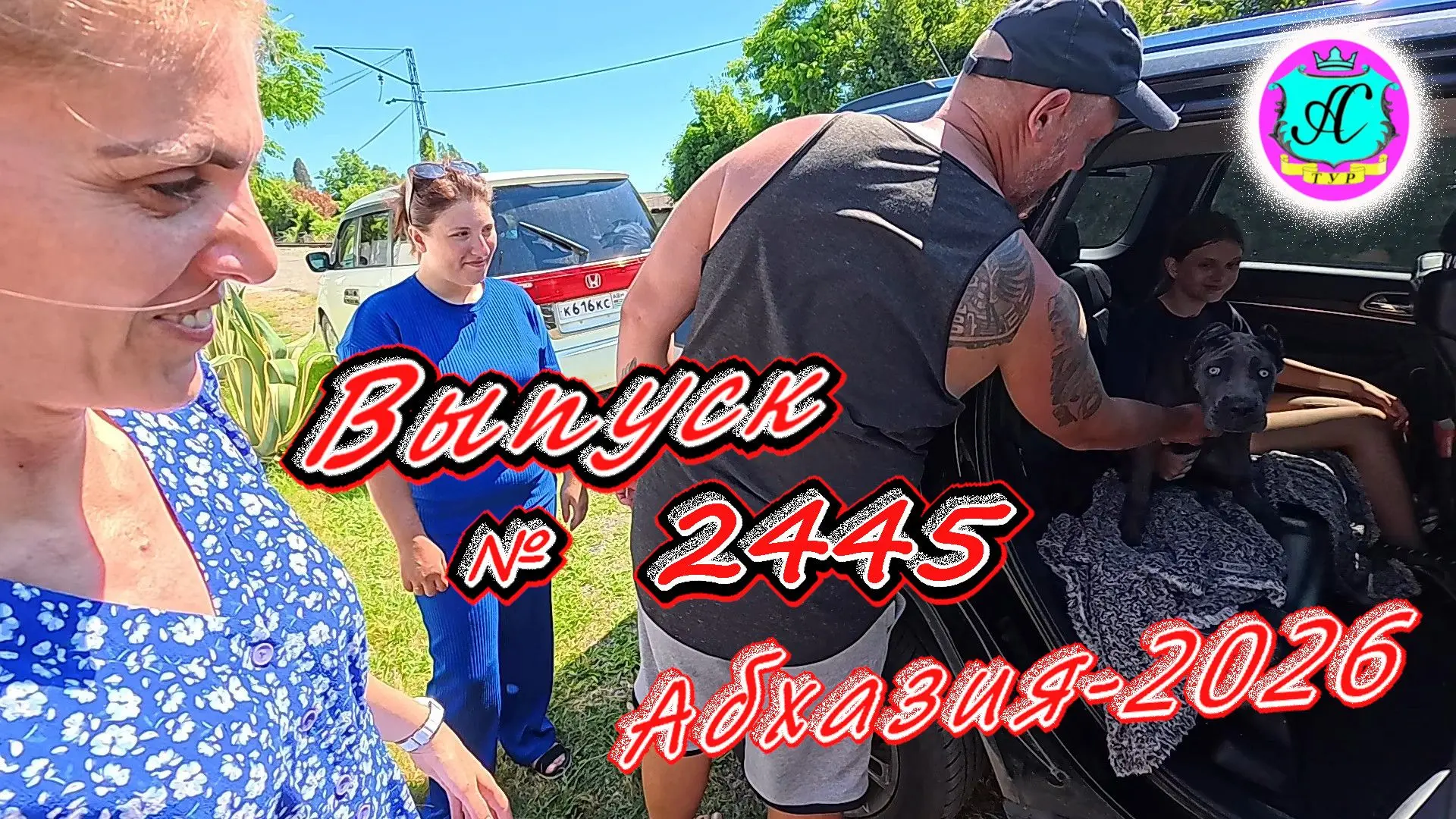 #Абхазия2026🌴 02.07.26г.🔥 Выпуск № 2445❗вчера +29°🌡ночью +21°🌡море +23,6°🐬