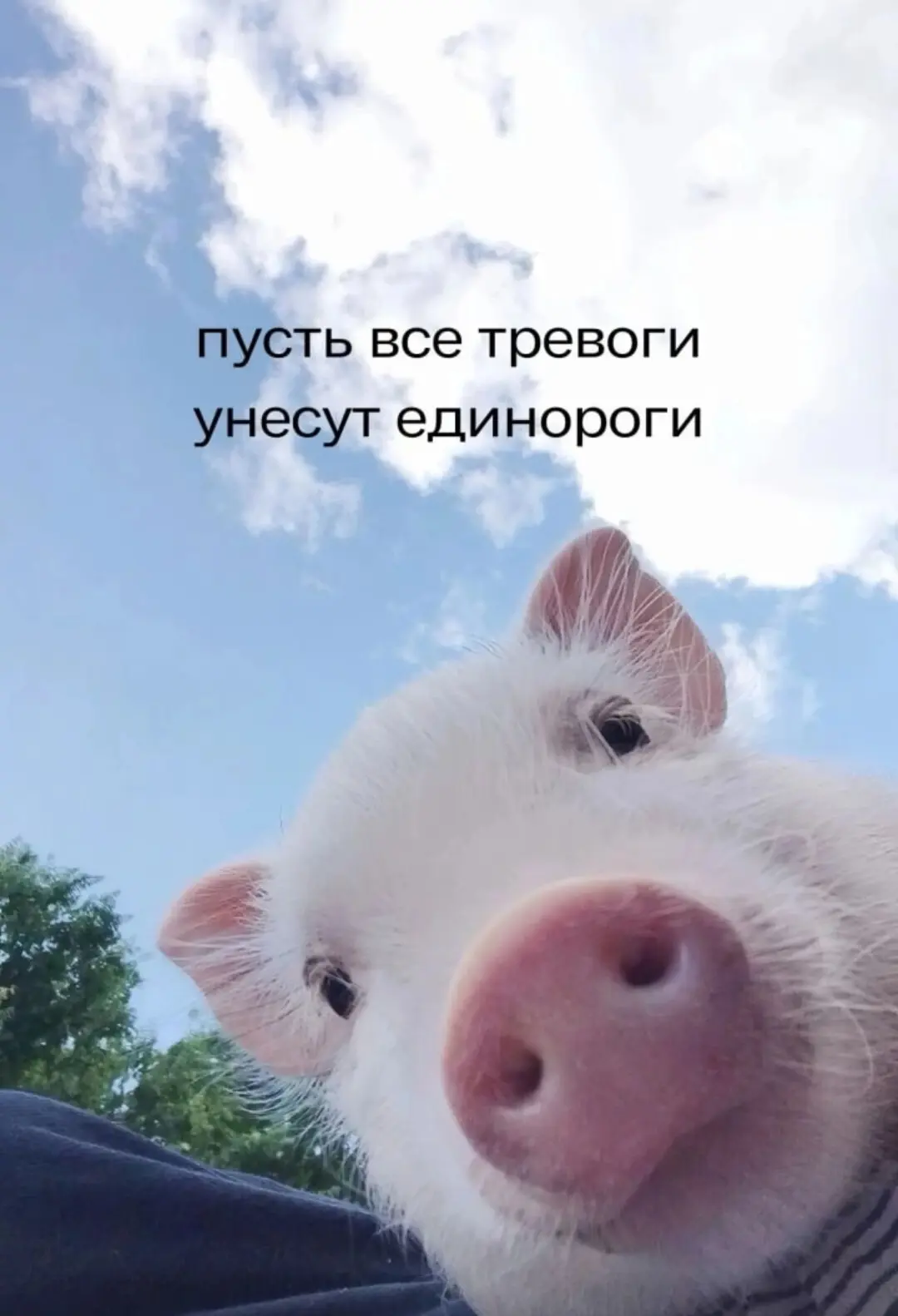 Хорошего вечера и добрых снов 🫶🏼