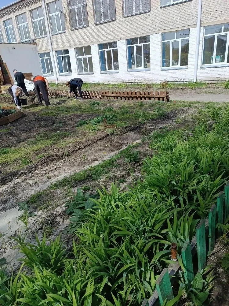 🌸 Наш цветник преображается на глазах, и это — целиком заслуга наших старшеклассников!  Дружной комп