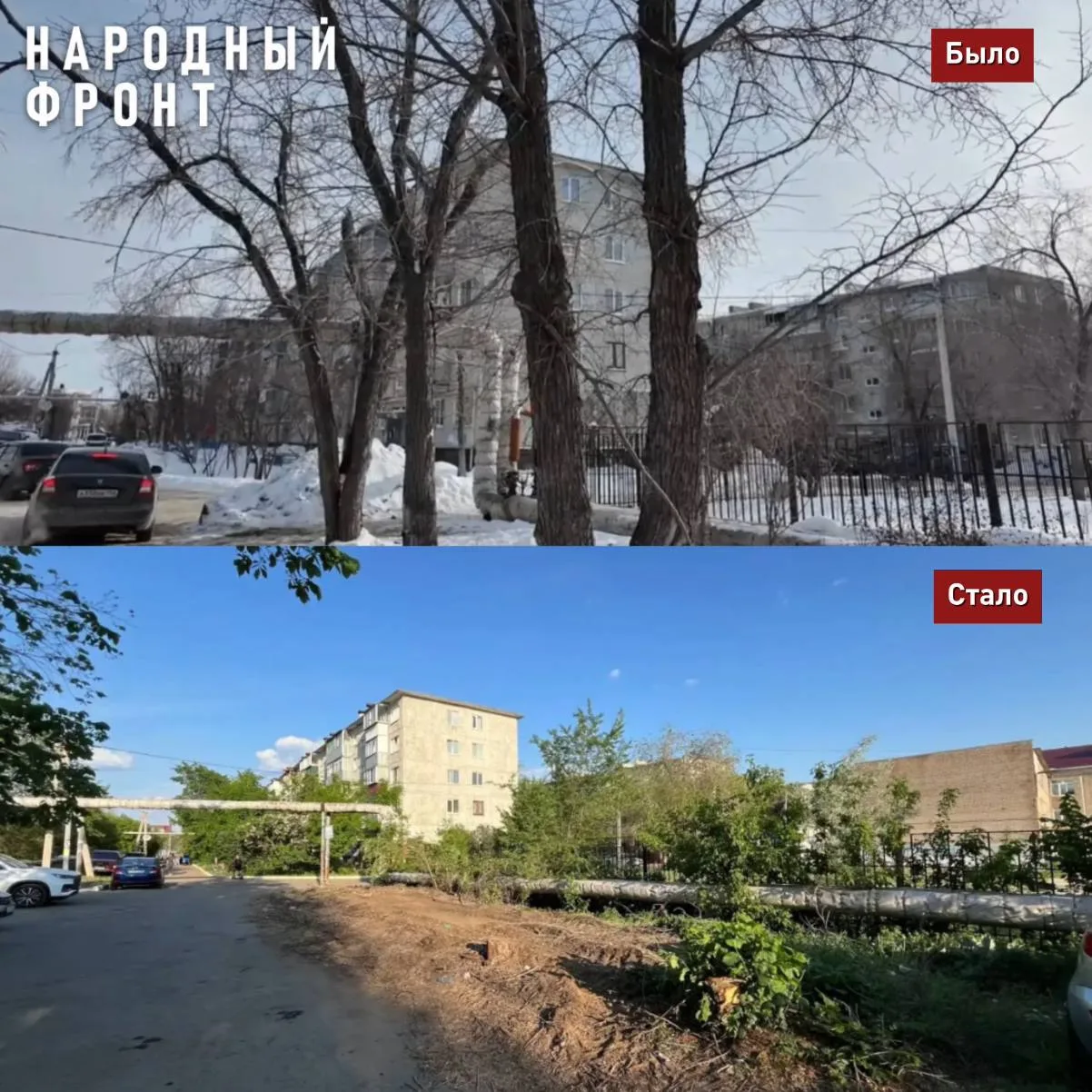 В Оренбурге после обращения Народного фронта спилили опасные деревья.
