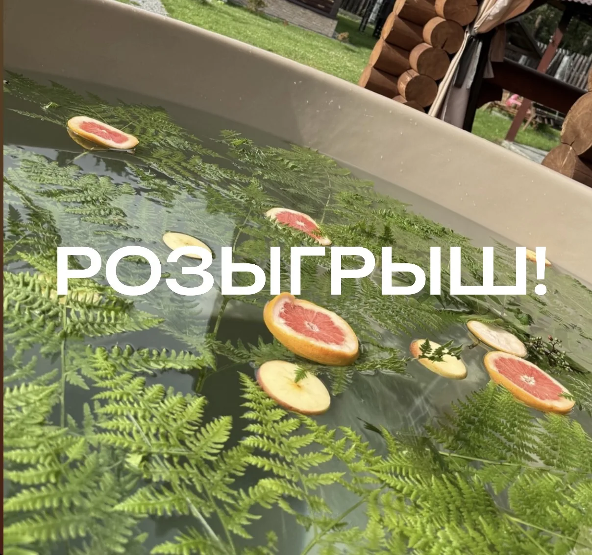🎁 РОЗЫГРЫШ