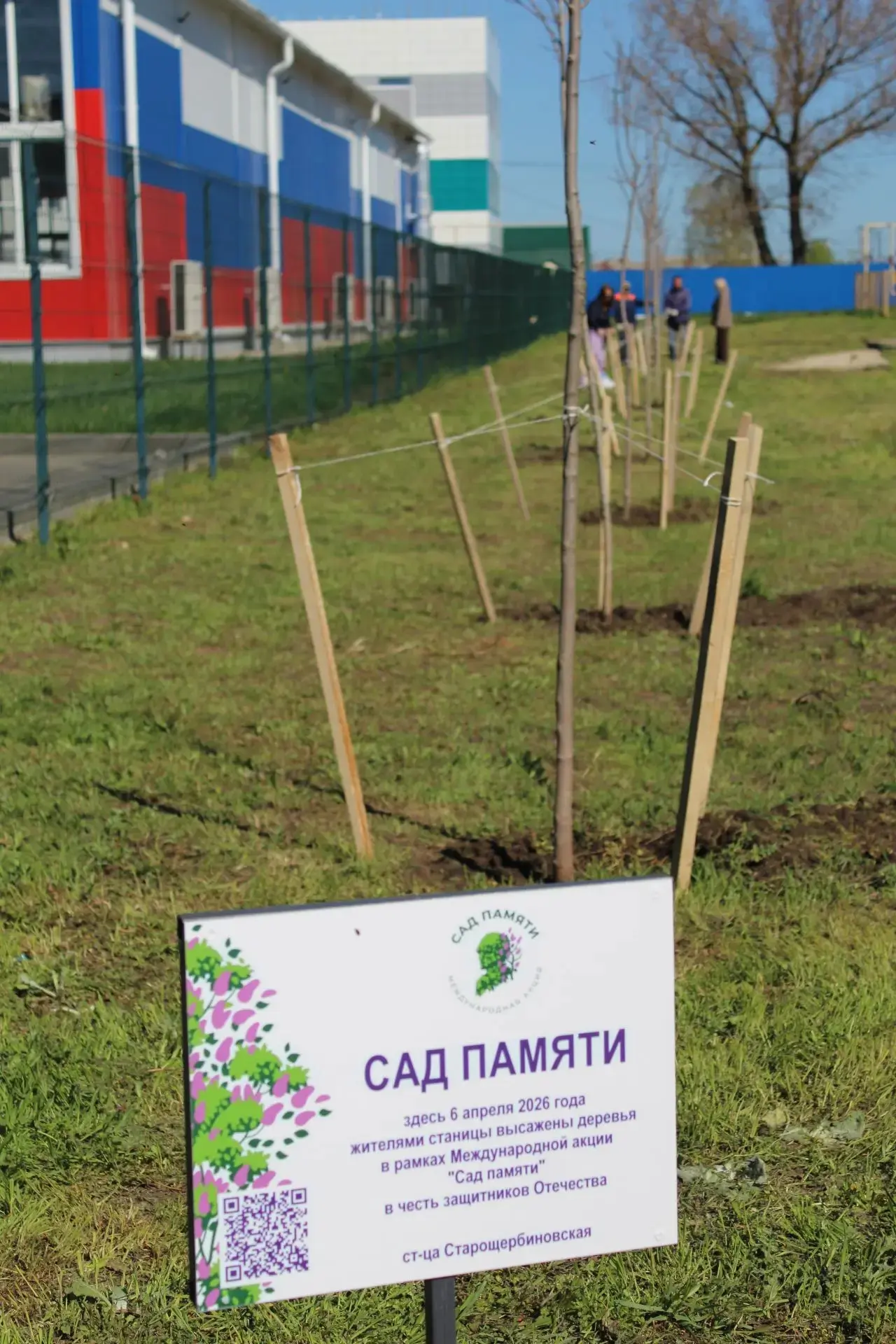 В Щербиновском районе продолжают высаживать деревья в рамках Международной патриотической и экологич
