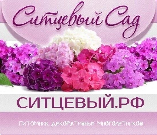 Рады приветствовать на канале питомника Ситцевый Сад!