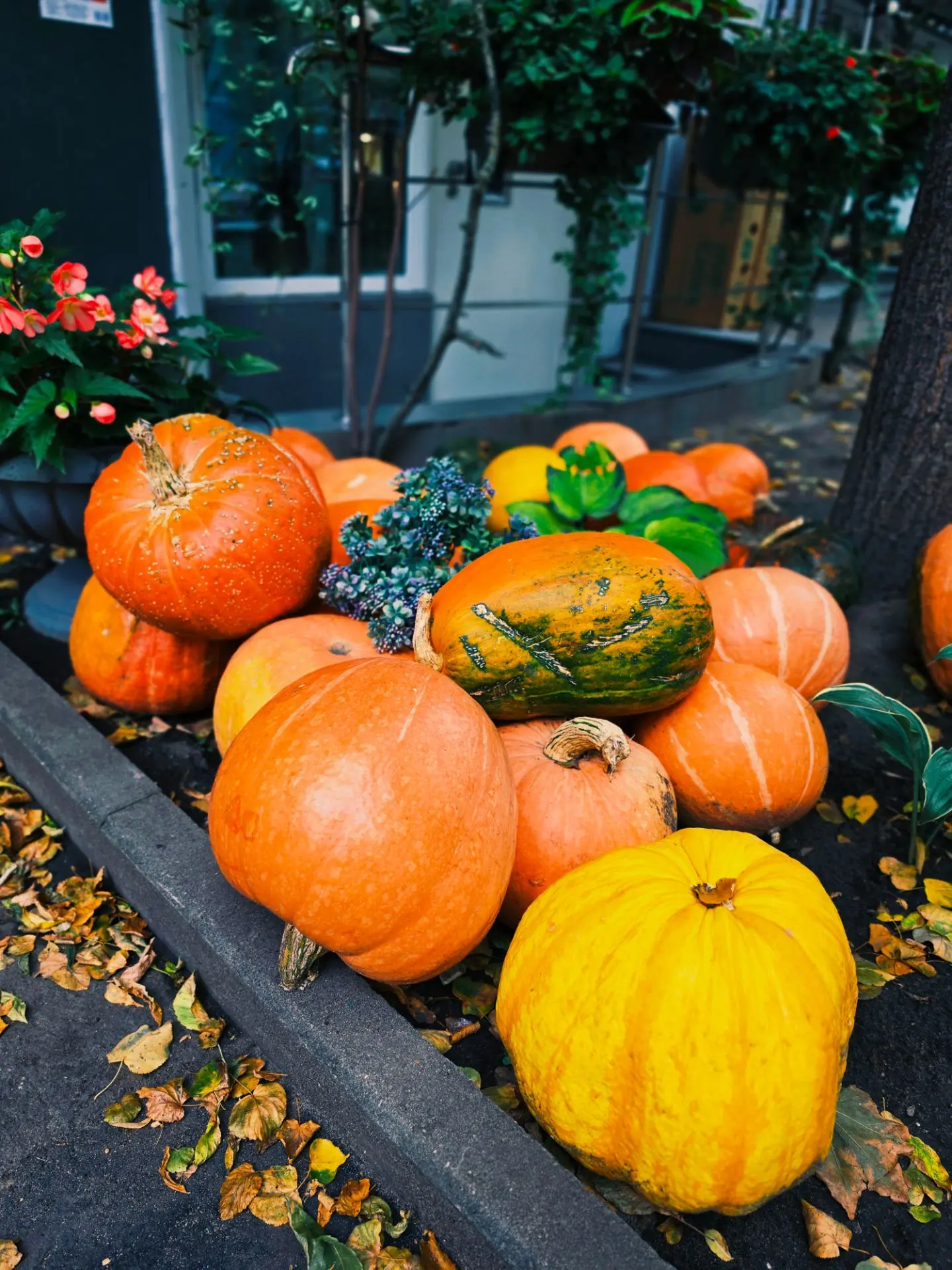 Московская осень 🍂 - это когда ощущаешь цвет музыки и вкус слов 💌