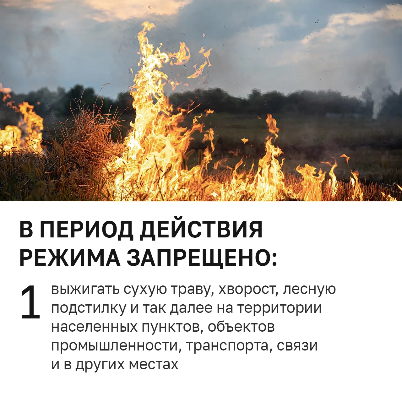 🔥В Удмуртии ввели особый противопожарный режим!  Теперь на всей территории республики действуют допо