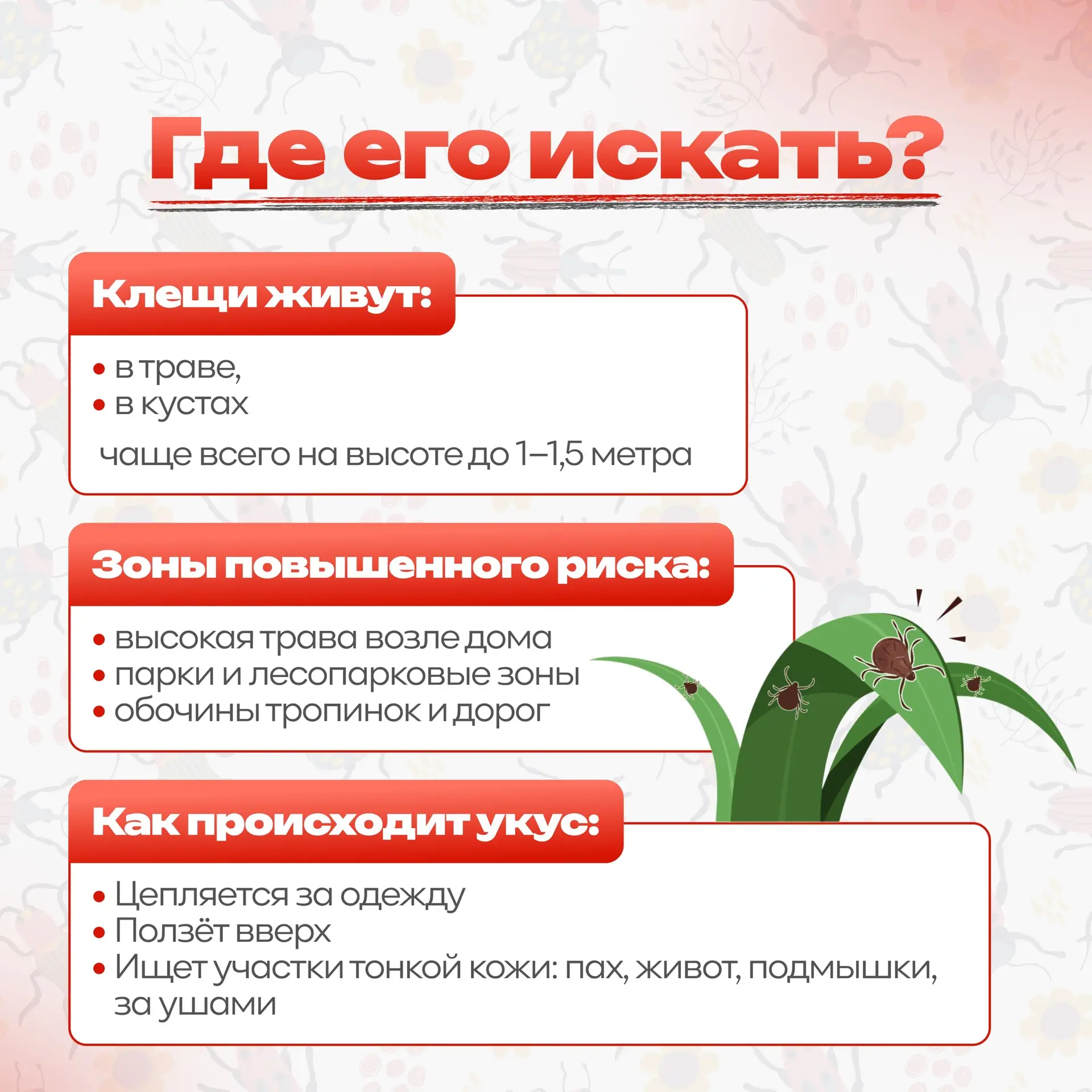 🐜🔎 Ура! Мы подготовили для вас памятку «Сезон клещей»!  📘 Теперь вы точно знаете, как обезопасить се
