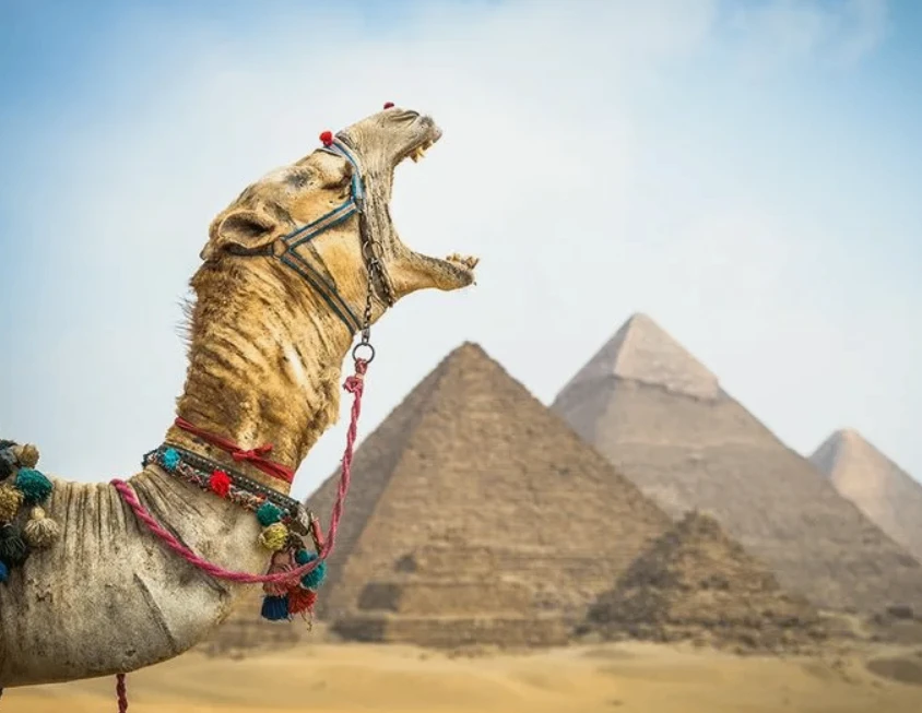 🌞Египет ,Шарм эль Шейх