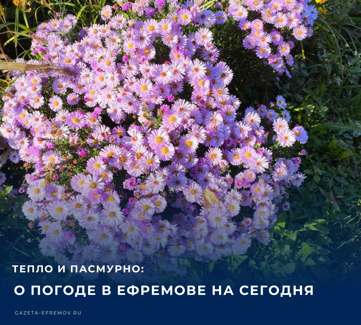 ☁️ Сегодня, по прогнозам синоптиков, ожидается пасмурная с прояснениями погода.​