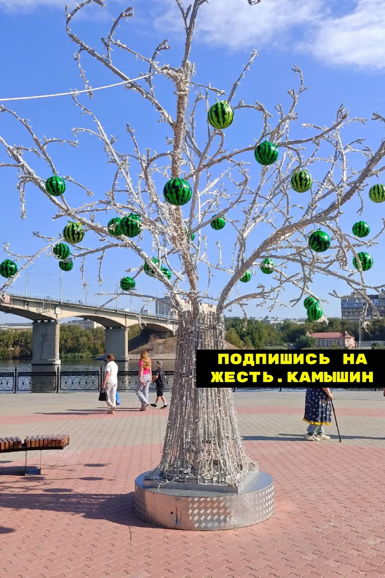 На нашем светящемся дереве вчера выросли арбузики🍉🍉🍉