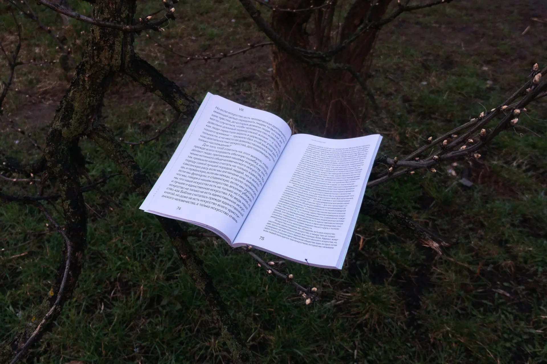 🌳🌸 Что, если лес вокруг нас — живой? 🌸🌳

Для всех любителей мистики и тайн у нас есть идеальная 