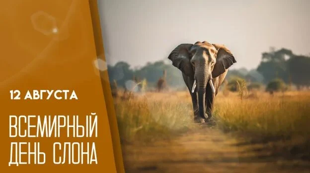 💚Доброе утро, друзья!