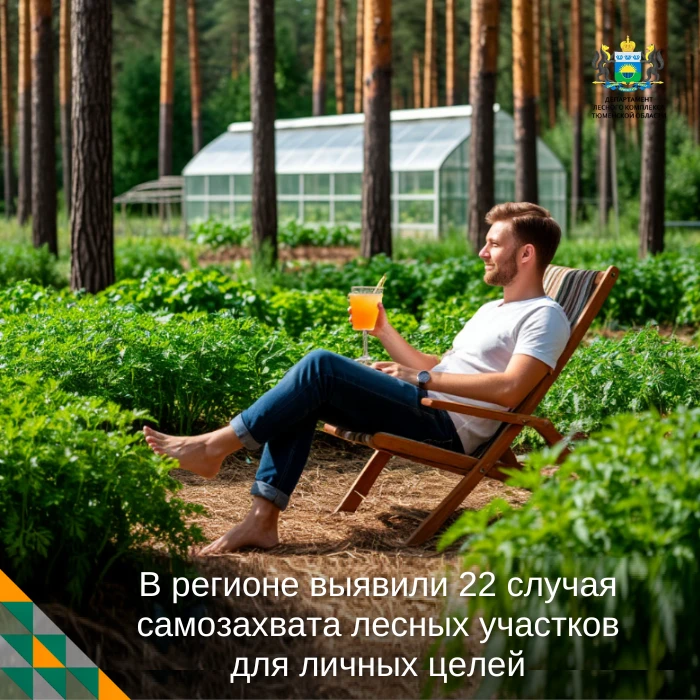 🚫 Гаражи, огороды и склады древесины… Всё это незаконно, если размещено на землях лесного фонда сам