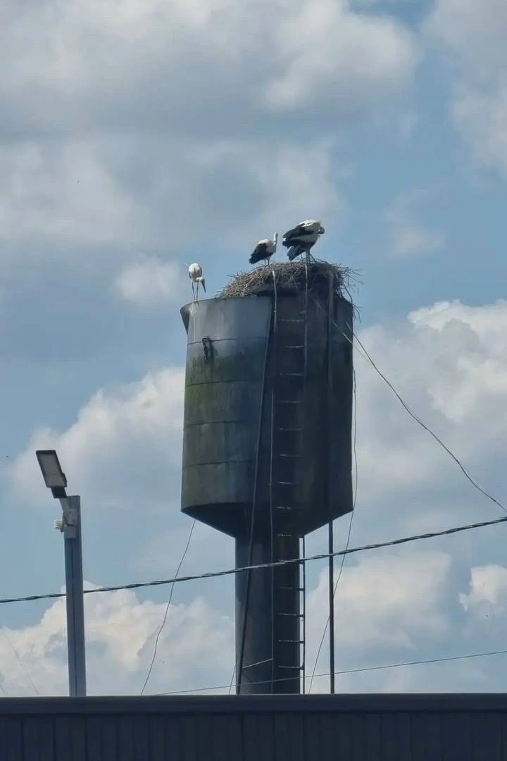 ⬇️ПРИСОЕДИНЯЙСЯ⬇️