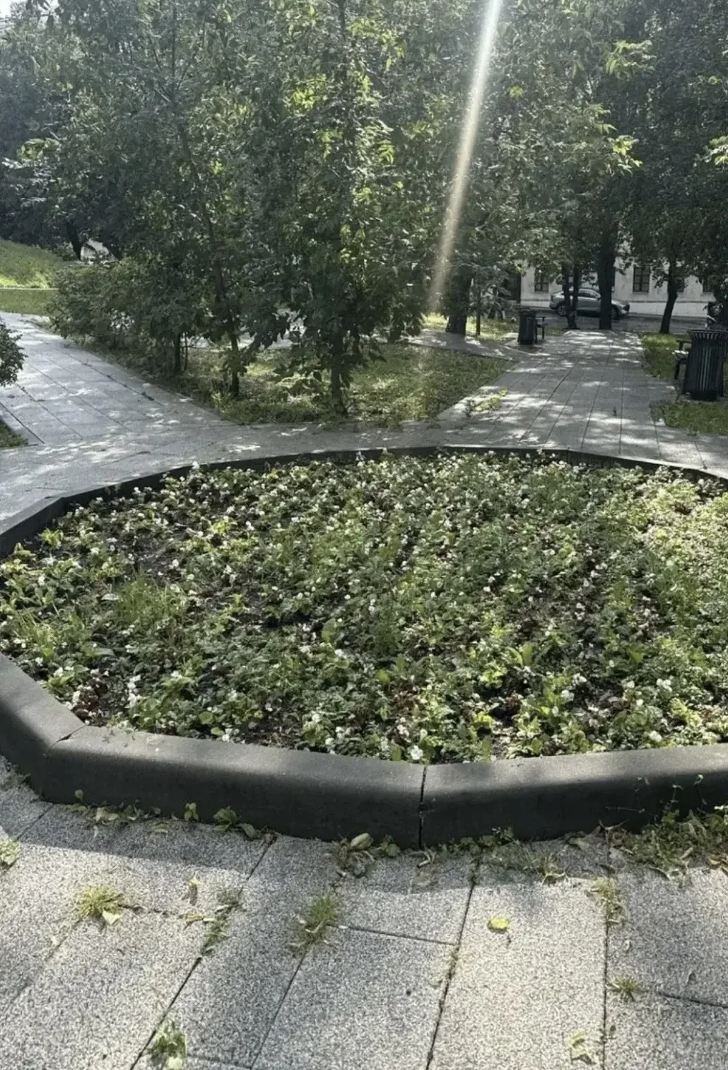 До/после