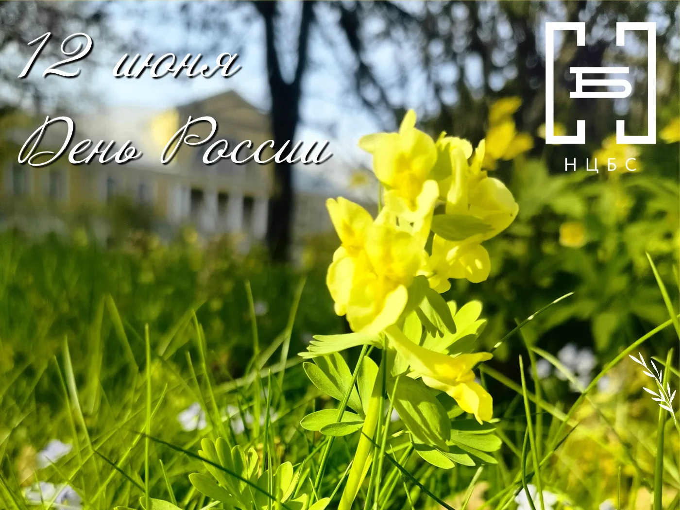 В День России, 12 июня, с 10.00 до 18.00 для читателей будут открыты две библиотеки Невского района: