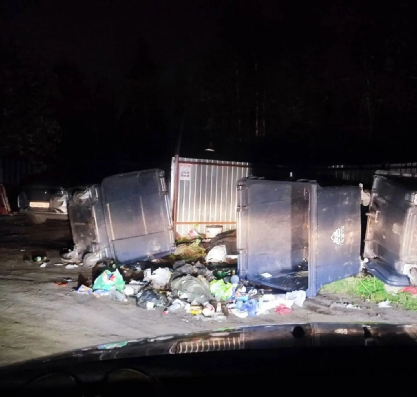 Медведь на дачах ТСН взлёт 11 км, ул синяя, на мусорке разворотил баки, заснять не успе...