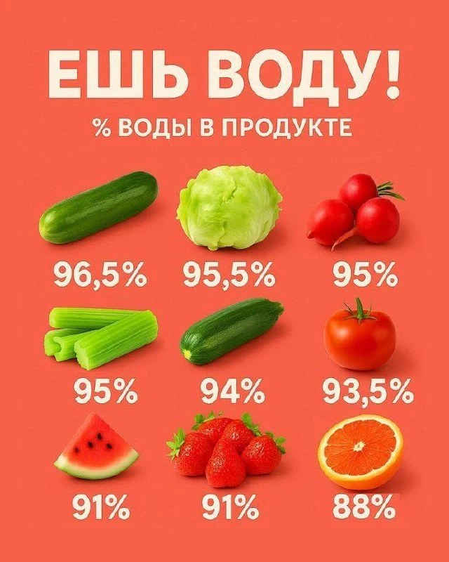 💧Процент воды в продуктах.