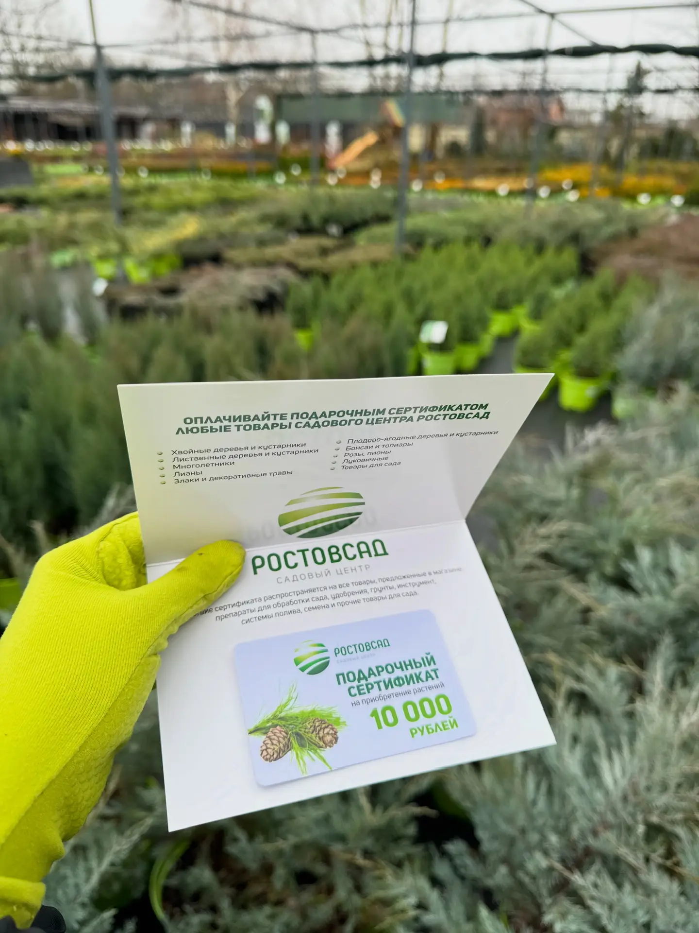 Подарочные сертификаты от садового центра РОСТОВСАД  Актуальный подарок к НГ для увлеченного садовод