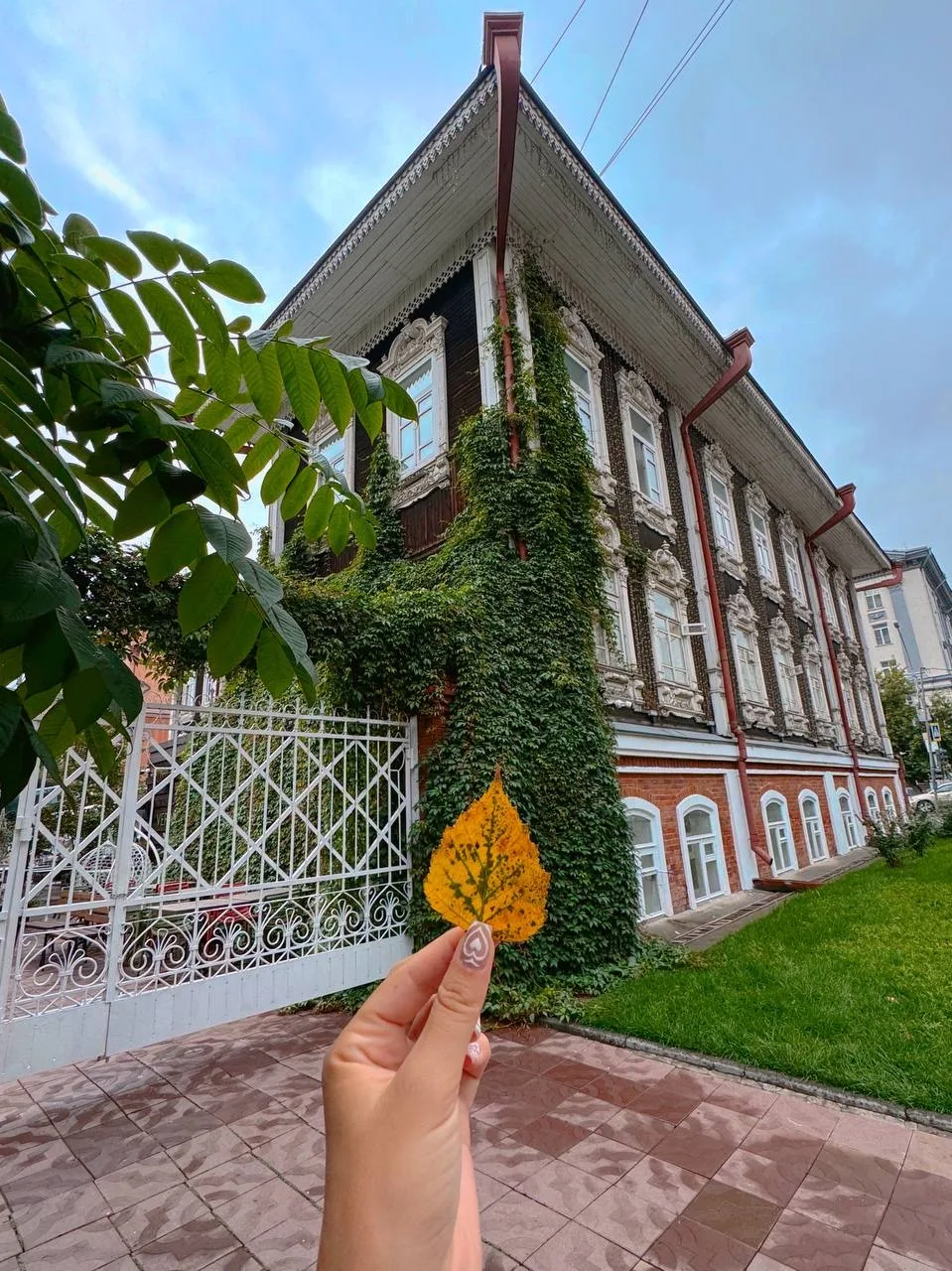🍂 🔍 На улице уже обнаружены первые признаки осени